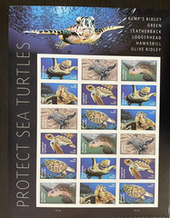 2024 Protect Sea Turtles Stamp Sheet of 18 – Forever – MNH