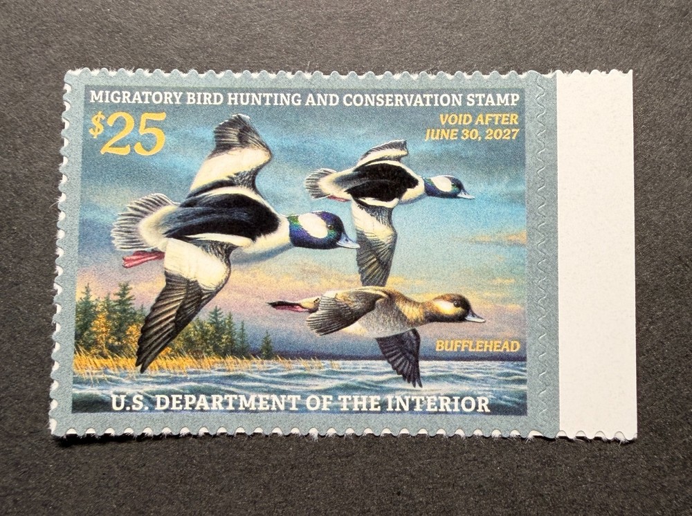 WTDstamps – #RW93 2026 – US Federal Duck Stamp **JIM HAUTMAN** Mint OG NH –