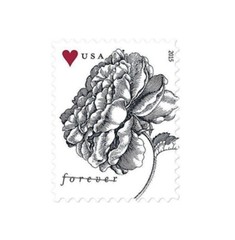 20 FOREVER Stamps Wedding Save The Date Vintage Rose