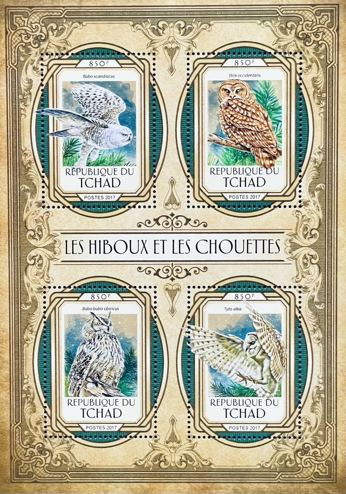 CHAD OWLS STAMP SHEET MNH 2017 BIRDS SNOWY OWL BARN OWL SPOTTED WILDLIFE BIRD