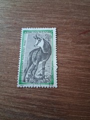 CZECHOSLOVAKIIA – Stamp – Sc# 818 – used – 1957 – Lt. cancel – VF