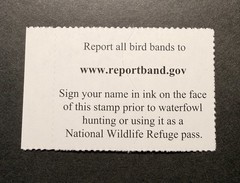 WTDstamps – #RW93 2026 – US Federal Duck Stamp **JIM HAUTMAN** Mint OG NH –