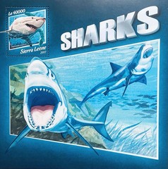 2017 USPS SHEET OF 100 FIRST CLASS LETTER STAMPS SHARKS