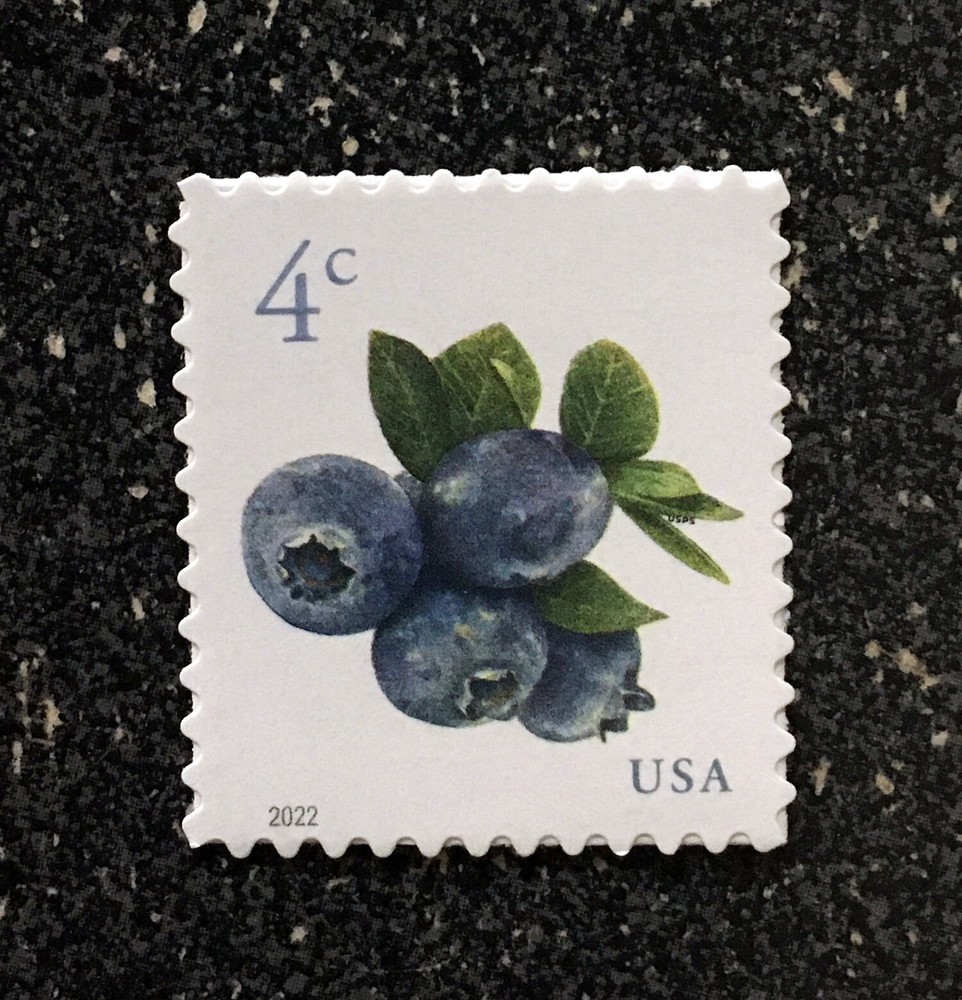 2022USA #5652 4c Blueberries – Sheet Single Mint NH blueberry fruit