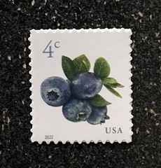 2022USA #5652 4c Blueberries – Sheet Single Mint NH blueberry fruit
