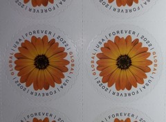 Sheet of 10 – INTERNATIONAL USA Forever/ First Class Stamp Global African Daisy