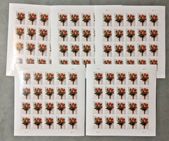 USA 2017 Scott #5199 Celebration Flower Forever Stamps (Lot of 5 Sheets) MNH