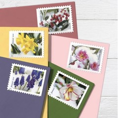 2022 USPS Snowy Beauty Stamps 100 Count Self Stick Postage MNH