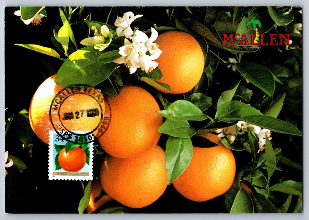 #3492 Orange Maxi Card