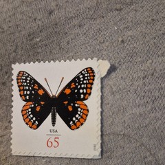 USA Stamp Butterfly 65 Cent Mint Never Hinged 2011-Present Black Orange White