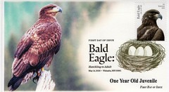 26-214, 2026, Bald Eagle, Complete set of 5 Covers, FDC, Digital Postmark,