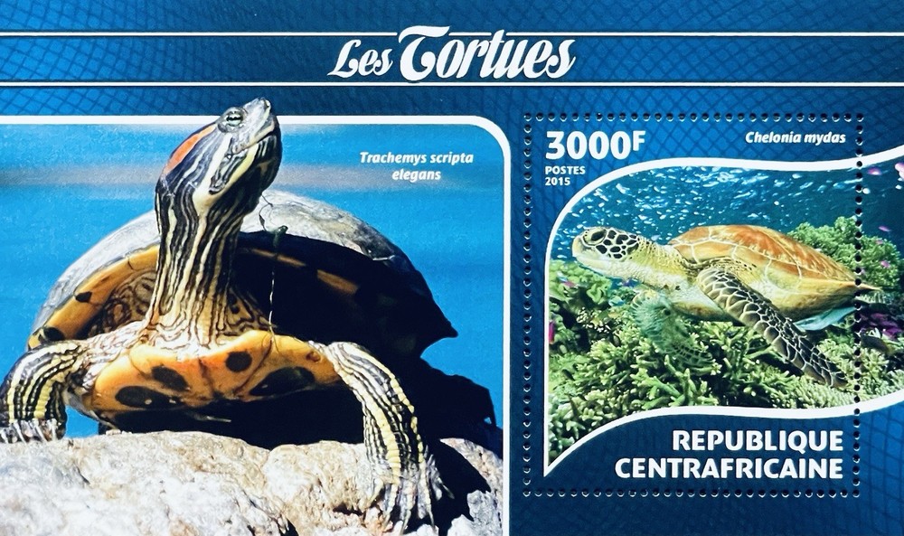 CENTRAL AFRICA TURTLES STAMPS 2015 MNH TORTOISE GREEN SEA TURTLE REPTILE ANIMAL