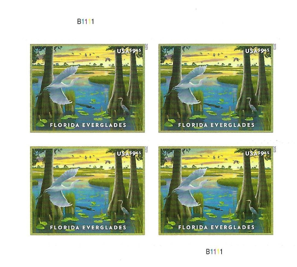 Florida Everglades – Priority Mail-9.65 x 4 = 38.60**Free Shipping!