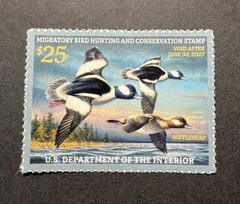 WTDstamps – #RW93 2026 – US Federal Duck Stamp **JIM HAUTMAN** **WELL CENTERED*