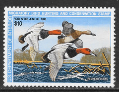 U.S. SCOTT RW54 MNH VF – 1987 $10 MULTI-COLOR FEDERAL DUCK STAMP