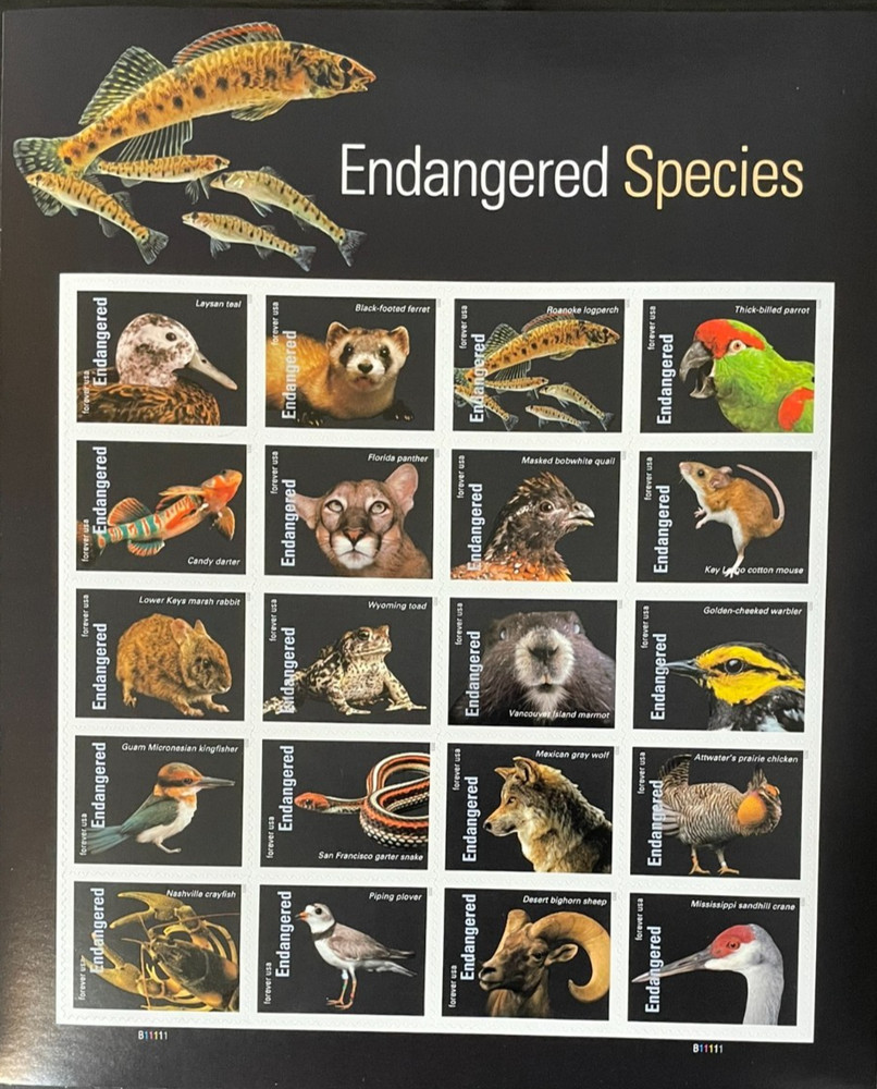 2023 Endangered Species Stamp Sheet – Forever – MNH
