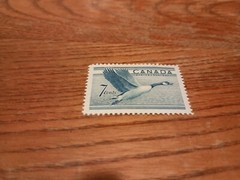 Canada #317 MNH