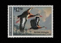 U.S. SCOTT RW57 MNH VF 1990 $12.50 MULTI-COLOR ISSUE FEDERAL DUCK STAMP