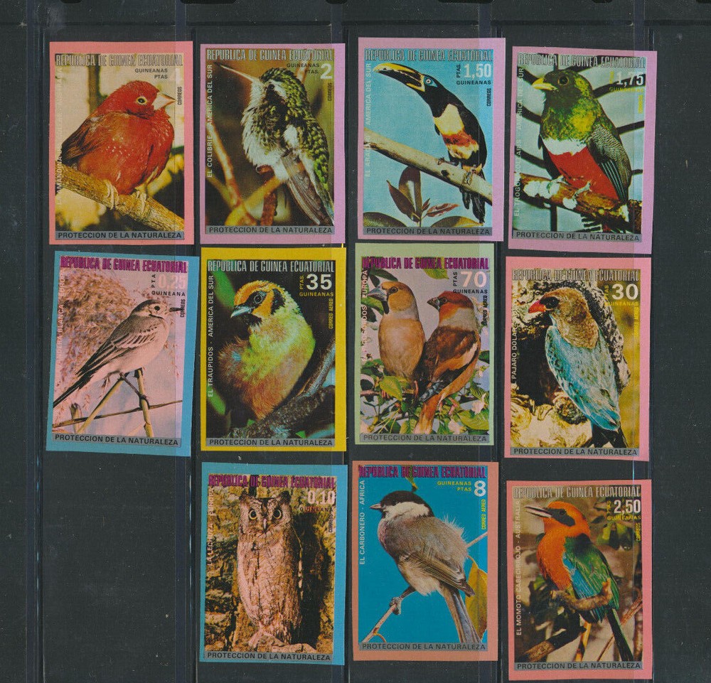 BIRDS 11 Different Mint Never Hinged Multi Color Imperforate Equitorial Guinea