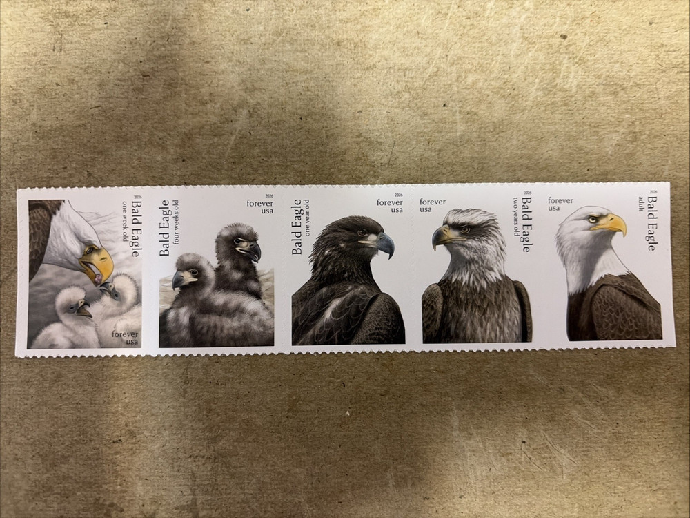 2026 US Postage #6082-86 Bald Eagles Strip of 5 Forever MNH Stamps Free Shiping