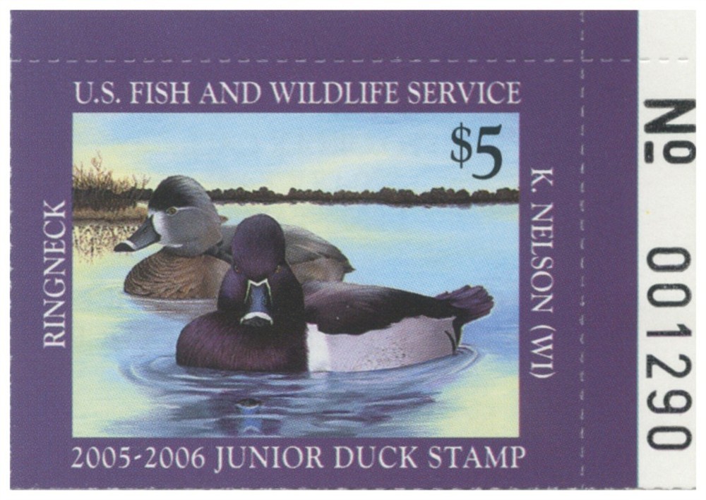 JDS13 2005 Federal Junior Duck Stamp Mint Never Hinged. Original Gum