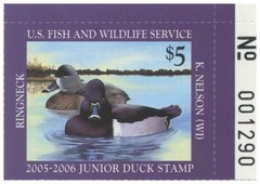 JDS13 2005 Federal Junior Duck Stamp Mint Never Hinged. Original Gum