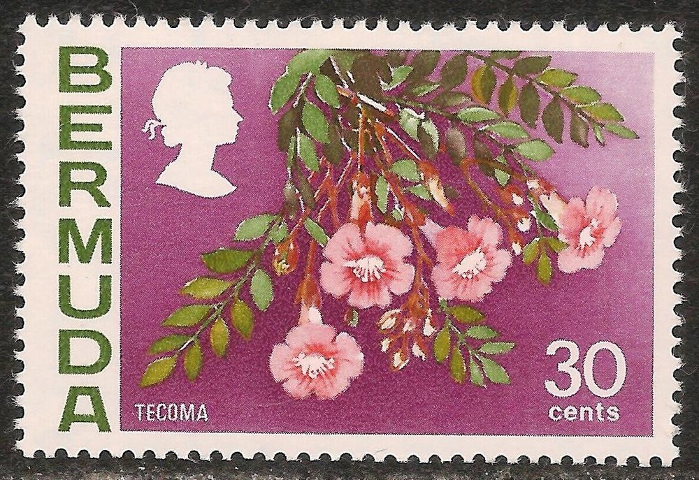 Bermuda #267a (A41) / SG #306 VF MNH – 1976 30c Tecoma Flower / Upright Wmk.