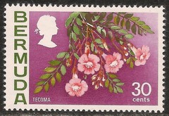 Bermuda #267a (A41) / SG #306 VF MNH – 1976 30c Tecoma Flower / Upright Wmk.