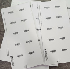 USPS Global International Mail Forever Postage Stamps – Sheet of 10