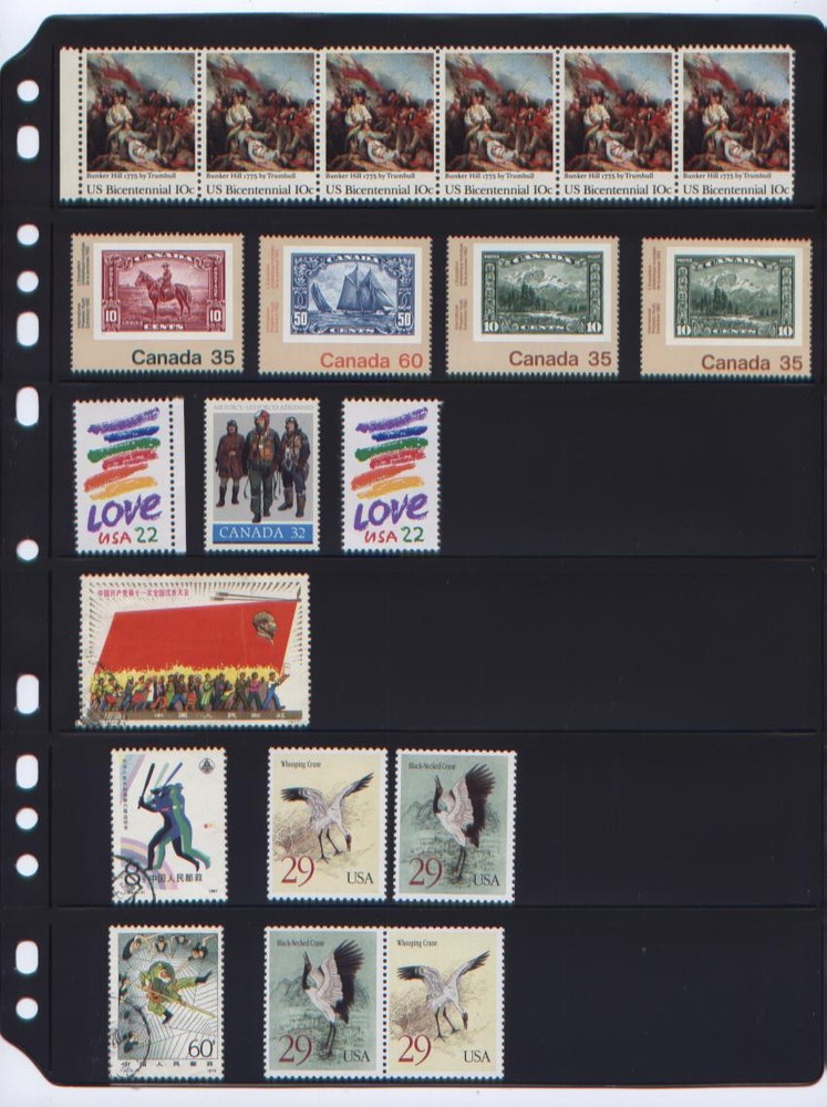 ANCHOR 100 New Stock Pages 6S (6-Rows) Stock Sheets/ Black sheets /FREE SHIPPING