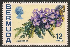 Bermuda #263a (A41) / SG #305 VF MNH – 1974 12c Jacaranda Flower / Upright Wmk.