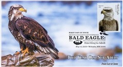 26-220, 2026, Bald Eagle, Complete set of 5 Covers, FDC, Pictorial Postmark,