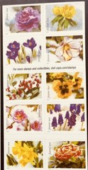 US Booklet Pane 20 Forever Snowy Beauty Flowers In Snow Stamps MNH 2022