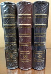 Lighthouse GRANDE Large 3-ring binder & case for Stamp album Collections NEW