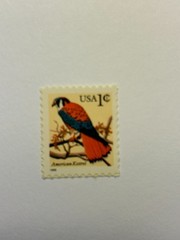 U. S. Single stamps SC 3031 American Kestrel MNH, black 1999 date