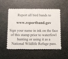 WTDstamps – #RW93 2026 – US Federal Duck Stamp **JIM HAUTMAN** **WELL CENTERED*