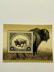 U. S. Forever Single SC 6098 American Bison MNH 2026