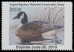 2018 Virginia State Duck Stamp Mint Never Hinged. Original Gum