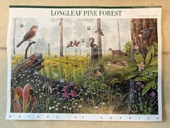 Scott #3611 LongLeaf Pine Forest (Nature Series) Sheet of 10 Stamps – Sealed