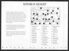U.S. SCOTT 3293 MNH PANE/10 – 1999 33c MULTI-COLOR SONORAN DESERT ISSUE