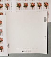 USA 2017 Scott #5199 Celebration Flower Forever Stamps (Lot of 5 Sheets) MNH