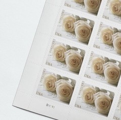 2011 USPS Forever Stamps WEDDING WHITE ROSES 5 Sheets of 20/sheet total 100