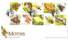 2026 GB MOTHS First Day Cover -Romney Marsh Moths Postmark *NICE* FDC 09.07.26