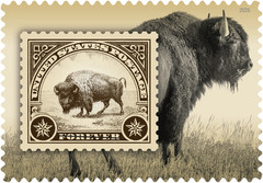 #6098 American Bison – MNH (After May 25)