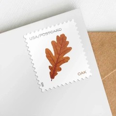 2025 USPS SHEET OF 100 POSTCARD STAMPS VIBRANT LEAVES 61¢