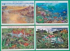 Complete Set of 12 NATURE OF AMERICA Sheets US Postage Stamps USA Sc 3293 – 4474