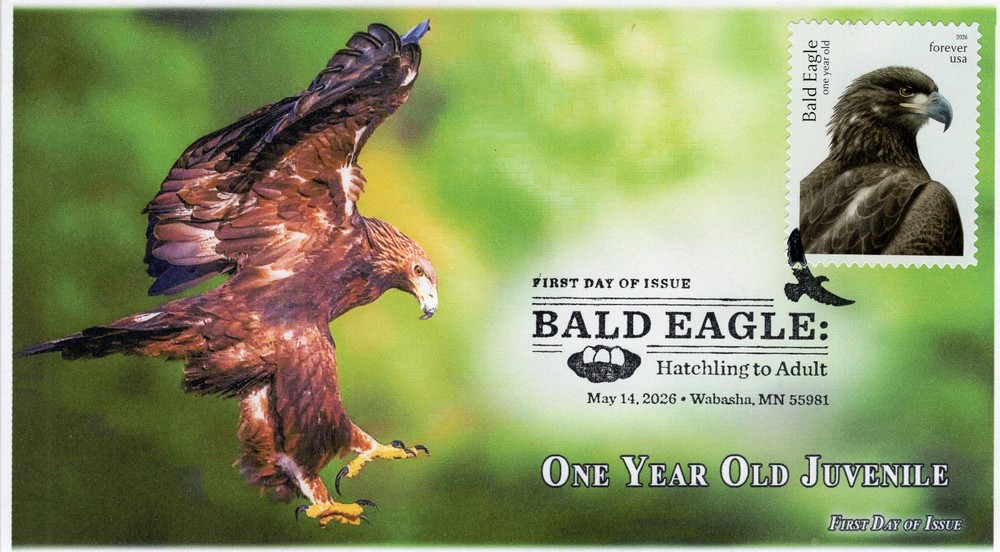 26-217, 2026, Bald Eagle, First Day Cover, Pictorial Postmark, Juvenile