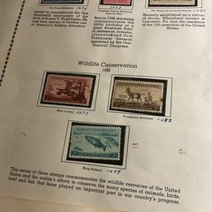 U.S.-(-1955-1956-)-HISTORICAL EVENTS-lot Of 12- Stamps-ON ALBUM PAGE-USED-#30