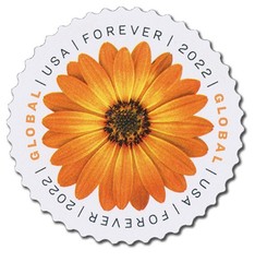 2022 Global Forever Stamp – African Daisy – Scott #5680 – MNH – FREE SHIPPING!