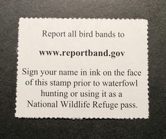 WTDstamps – #RW93 2026 – US Federal Duck Stamp **JIM HAUTMAN** Mint OG NH